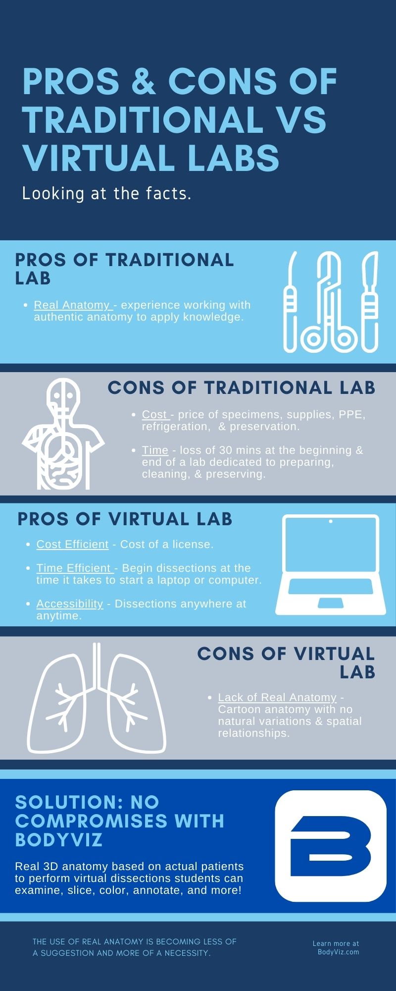 Pros and Cons of a Virtual Anatomy Lab vs Traditional Lab